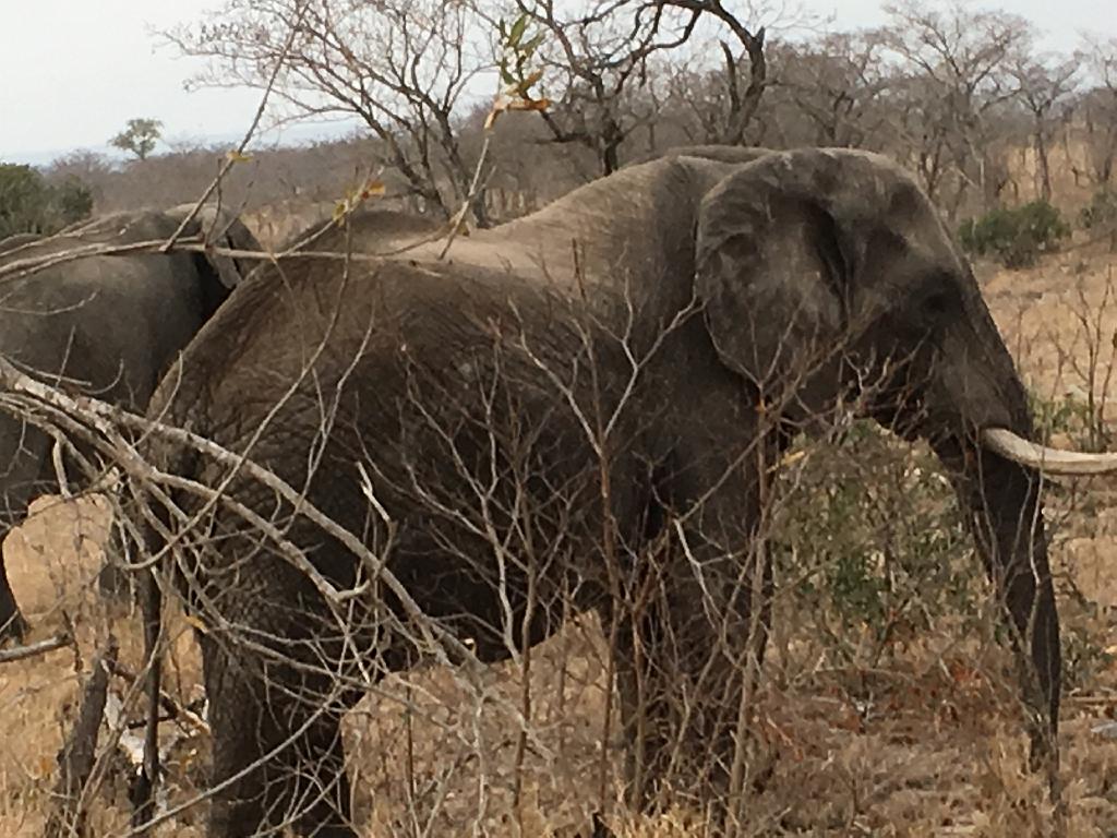 Suedafrika (102)